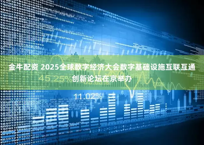 金牛配资 2025全球数字经济大会数字基础设施互联互通创新论坛在京举办