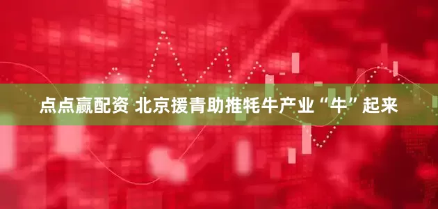 点点赢配资 北京援青助推牦牛产业“牛”起来